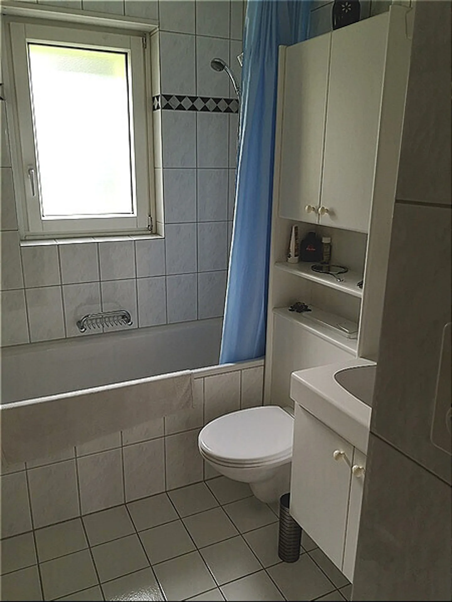 2 ROOM APARTMENT IN OBERENGSTRINGEN (ZH), FURNISHED, TEMPORARY - Photo 5 of 5