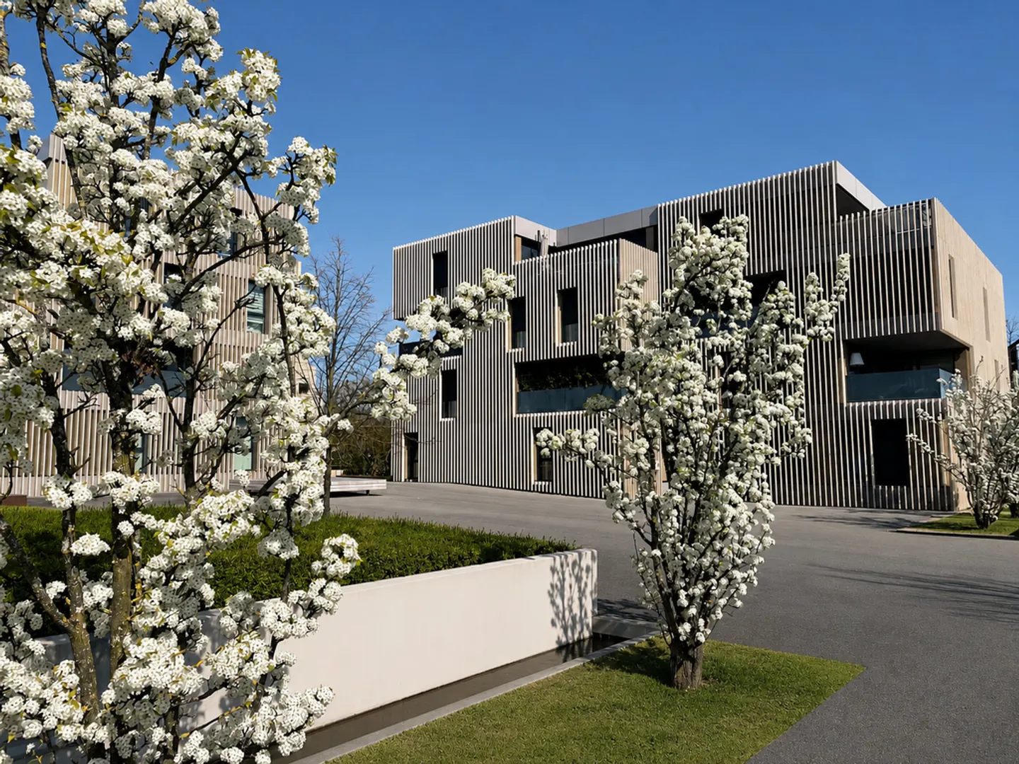 5-Zimmer-Wohnung - Foto 5 von 6