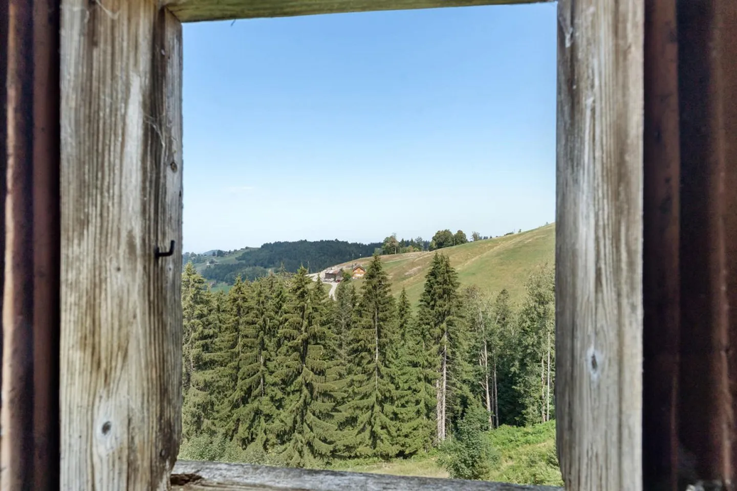 Ein Ort für neue Geschichten - Bauernhaus in einzigartiger Alleinlage - Photo 24 of 30