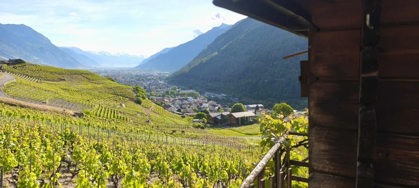 Cabane Charmante dans les Vignes - Photo 1 sur 9