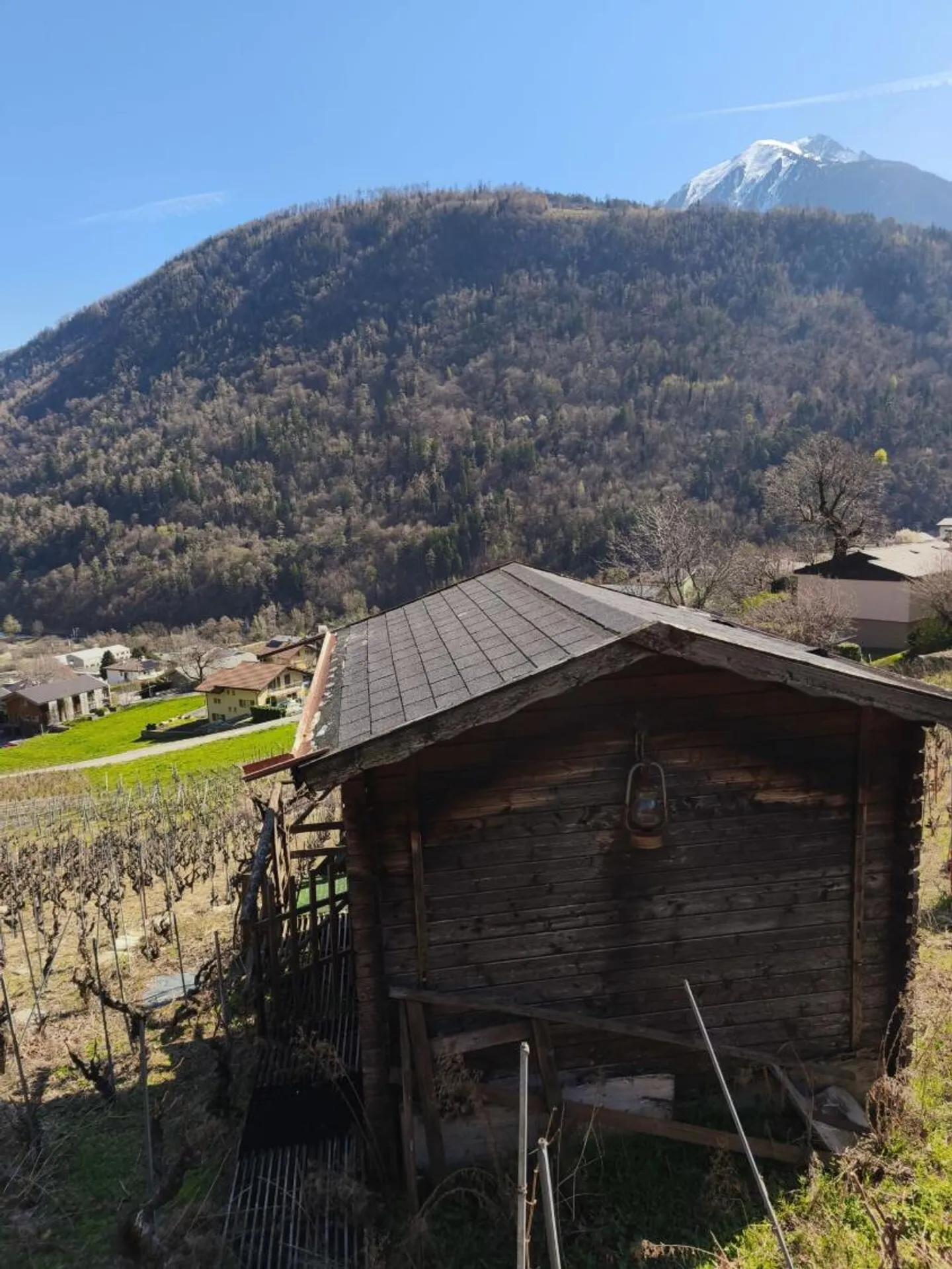 Cabane Charmante dans les Vignes - Photo 6 sur 9