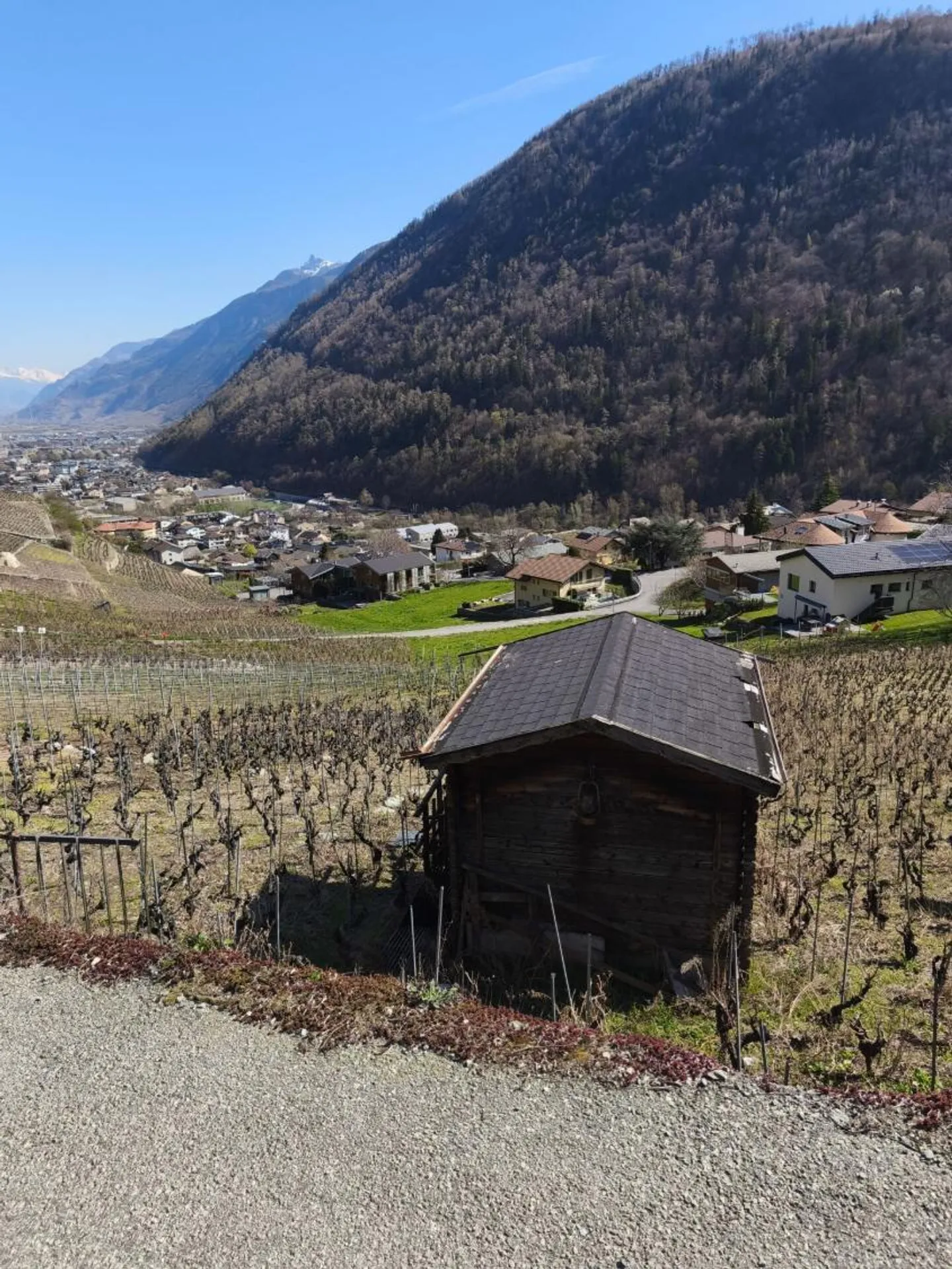 Cabane Charmante dans les Vignes - Photo 7 sur 9
