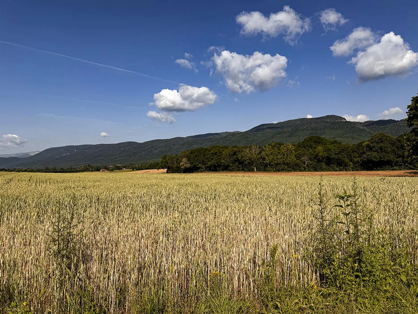 Villa de Luxe avec Piscine - Photo 2 sur 3