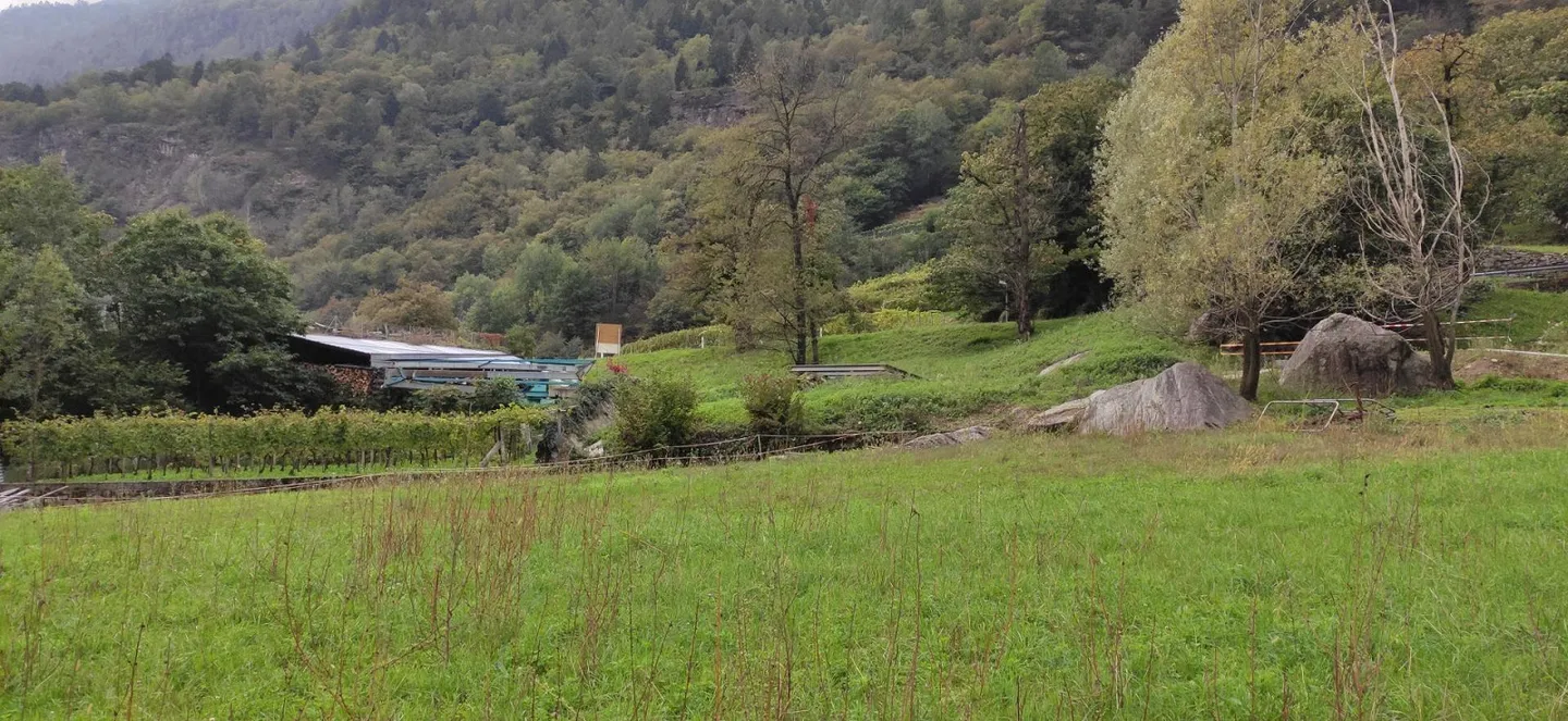 Terreno edificabile soleggiato - Foto 11 di 12