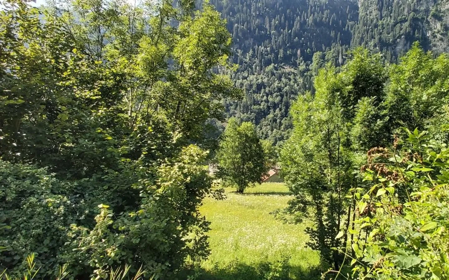 Prime Building Lot in Faido - Photo 1 of 6