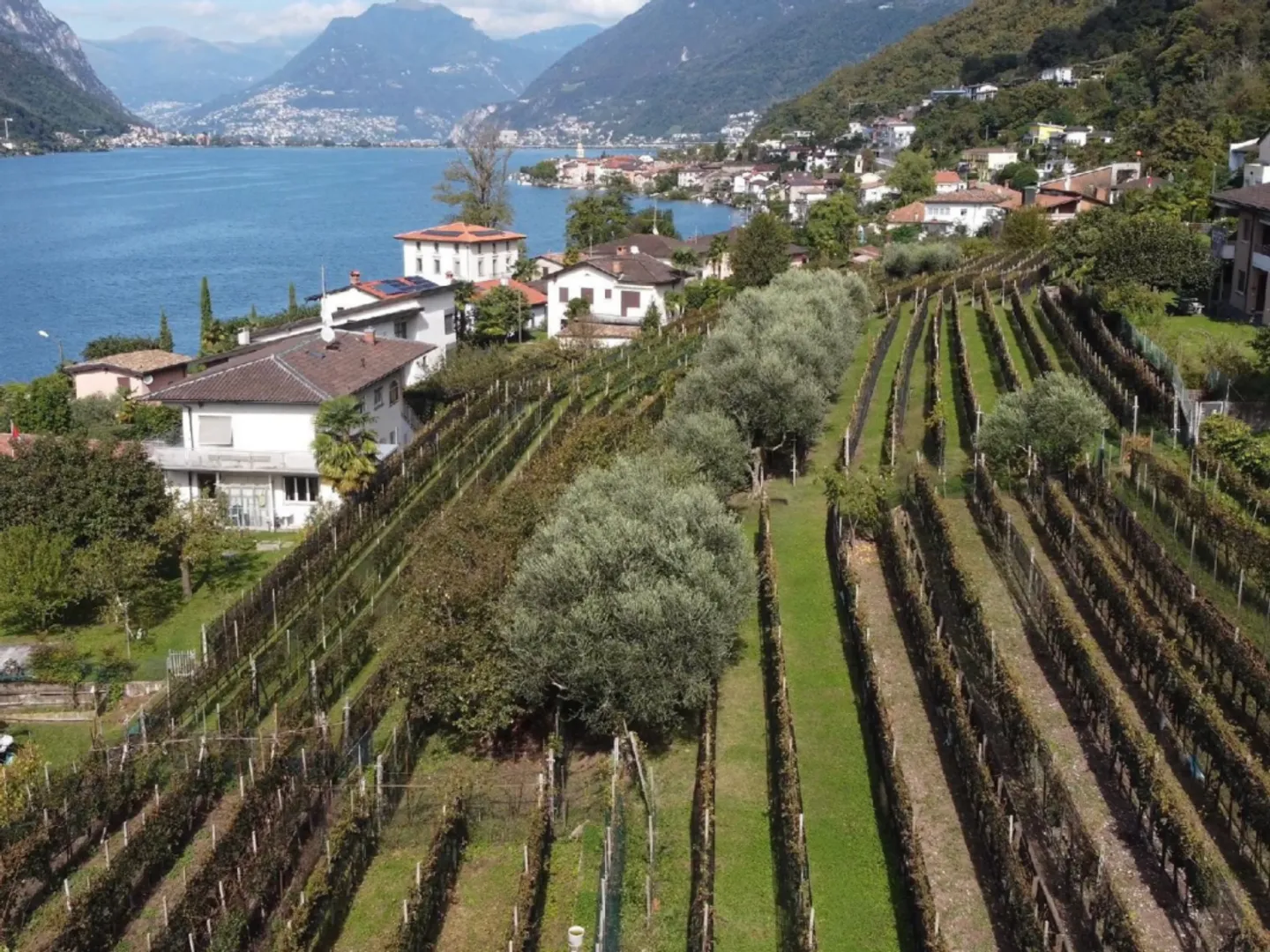 Terreno edificabile con vista lago - Foto 3 di 8