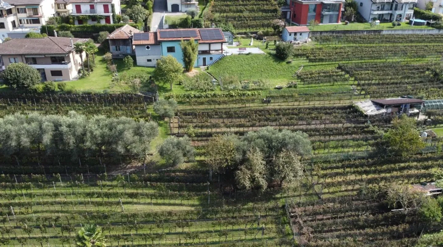 Terreno edificabile con vista lago - Foto 5 di 8