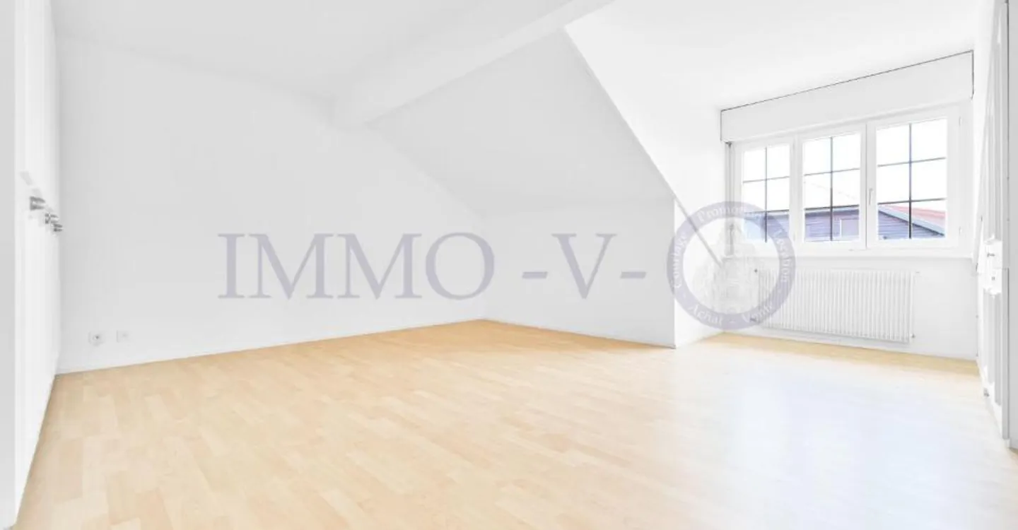 Spacious Renovated Attic with Lake View - Photo 7 of 10