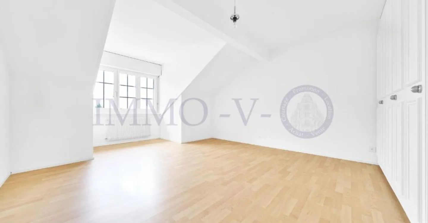 Spacious Renovated Attic with Lake View - Photo 8 of 10