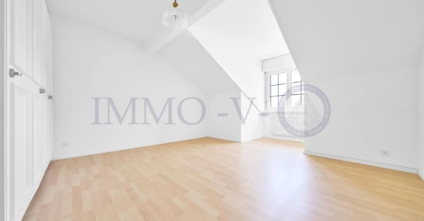 Spacious Renovated Attic with Lake View - Photo 9 of 10