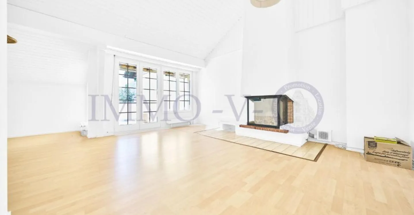 Spacious Renovated Attic with Lake View - Photo 2 of 10