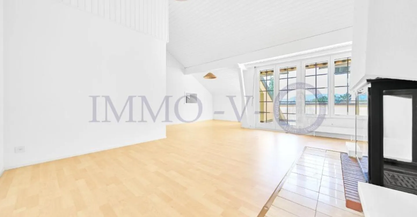 Spacious Renovated Attic with Lake View - Photo 3 of 10