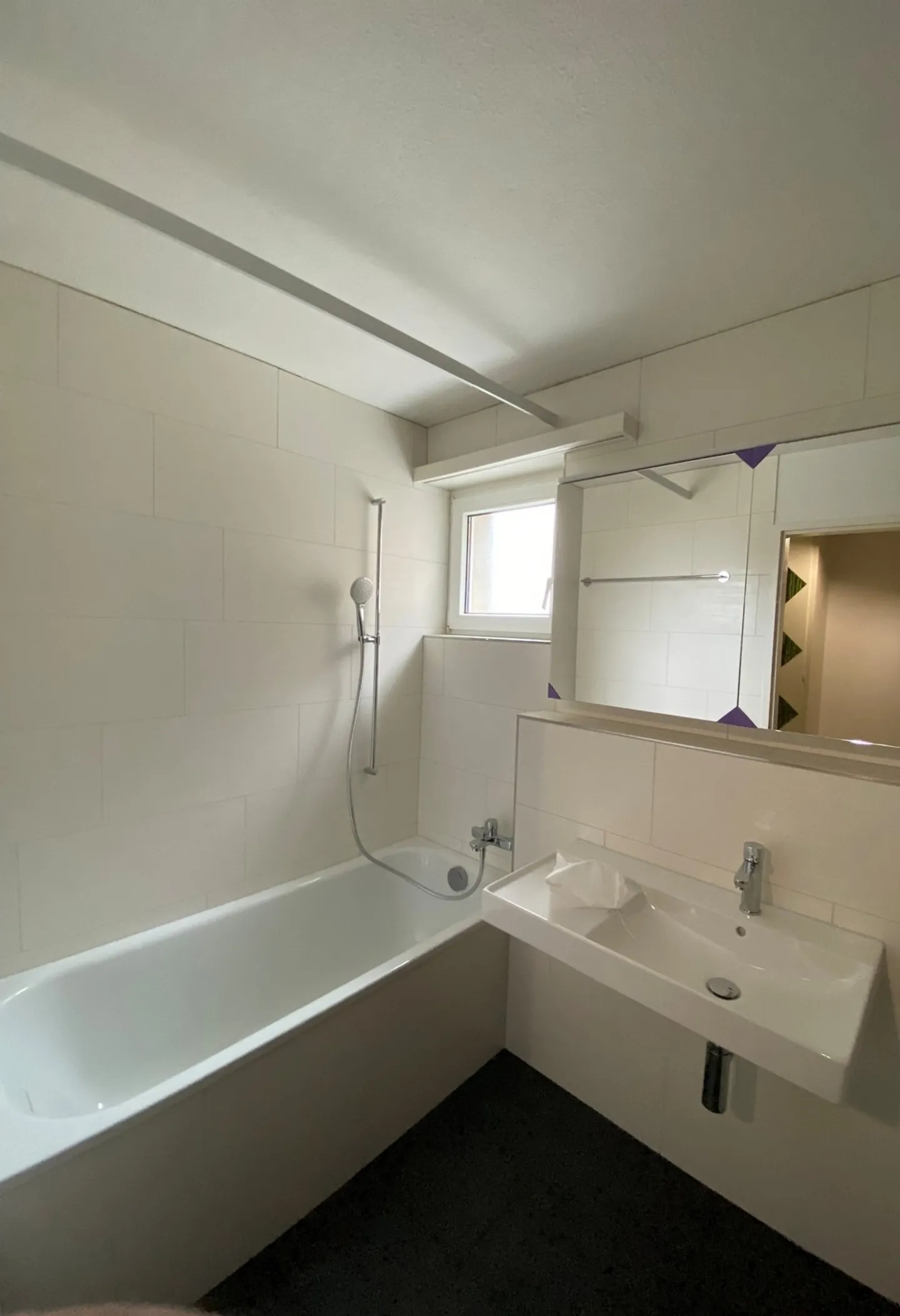 Vivere alla periferia di Zurigo - Foto 3 di 6