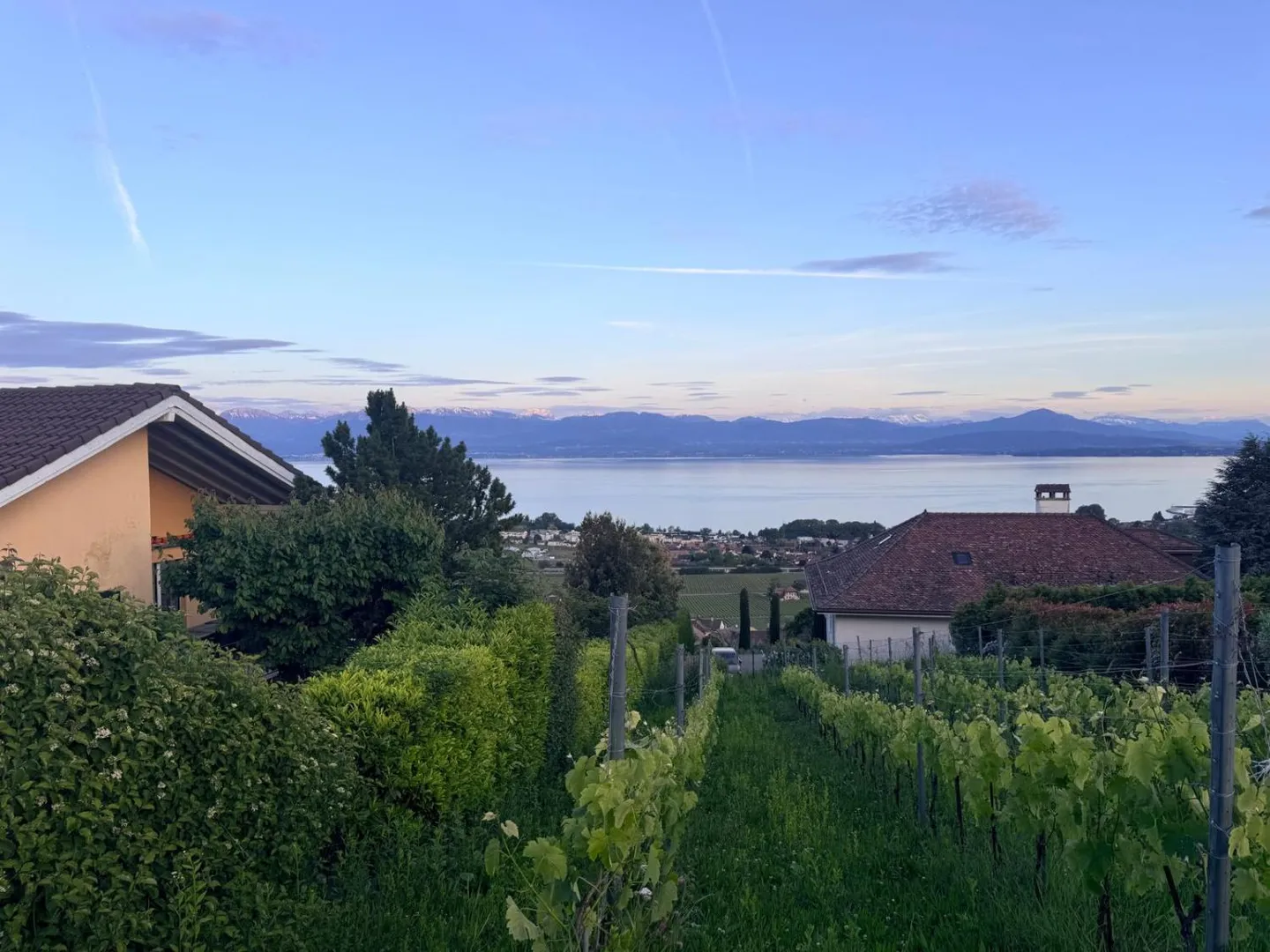 Wohnung mit Panoramablick auf den See und geplanter Erweiterung - Foto 1 von 10