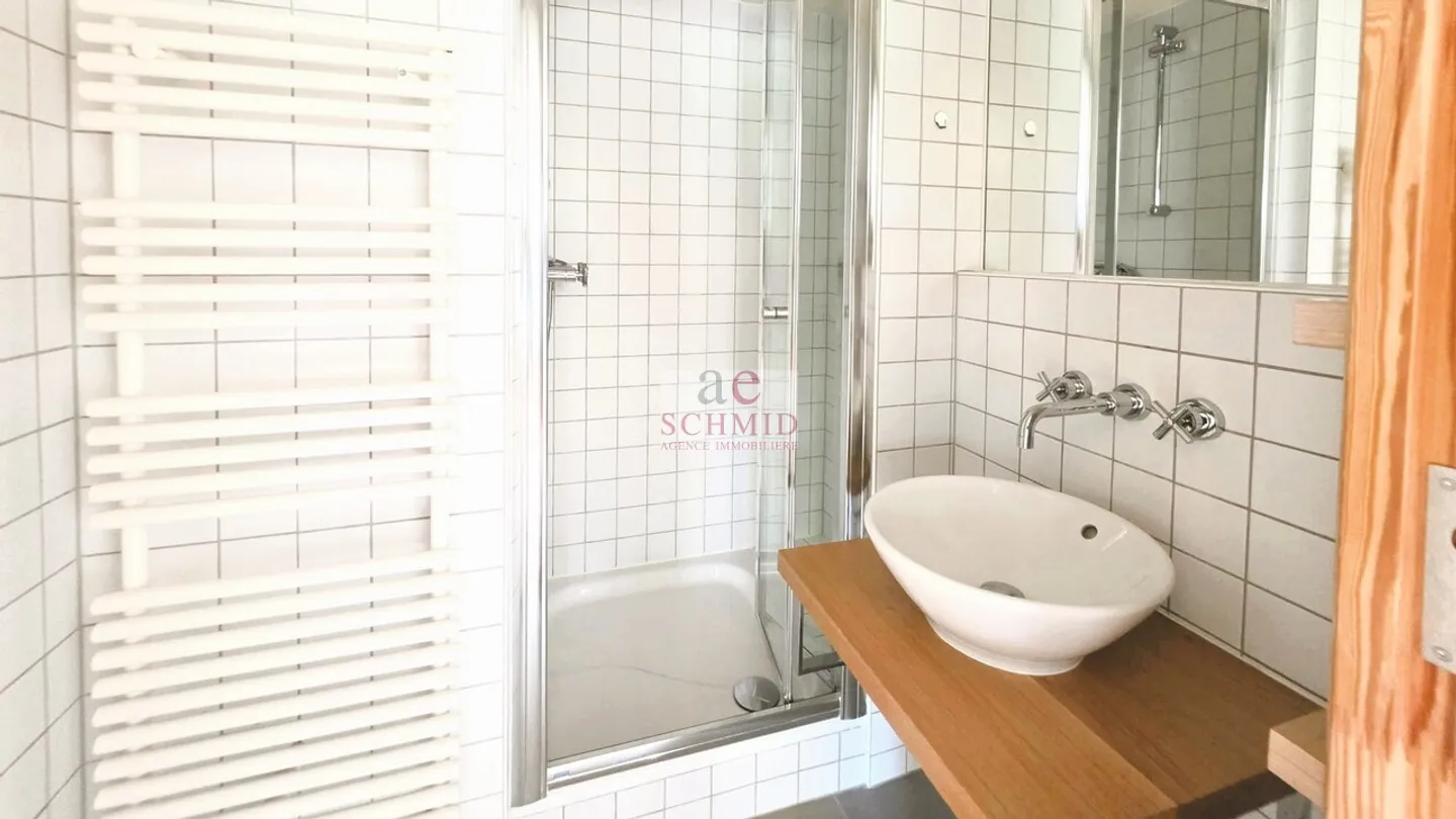Magnifique Appartement avec Vue Lac - Photo 8 sur 11