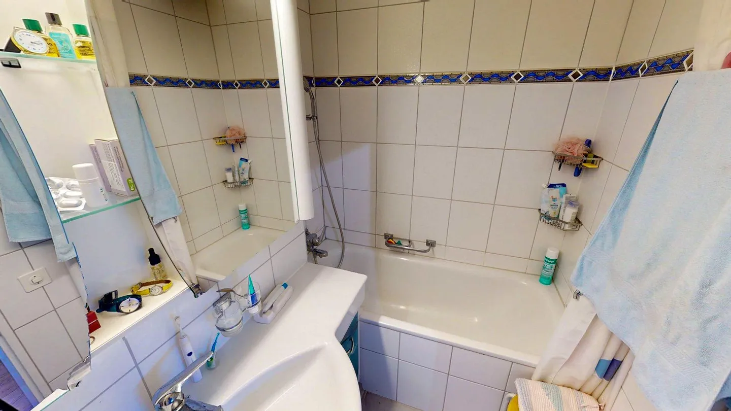 4.5 Zimmer Wohnung mit sonniger Aussicht auf die Ergolz - Foto 8 di 17