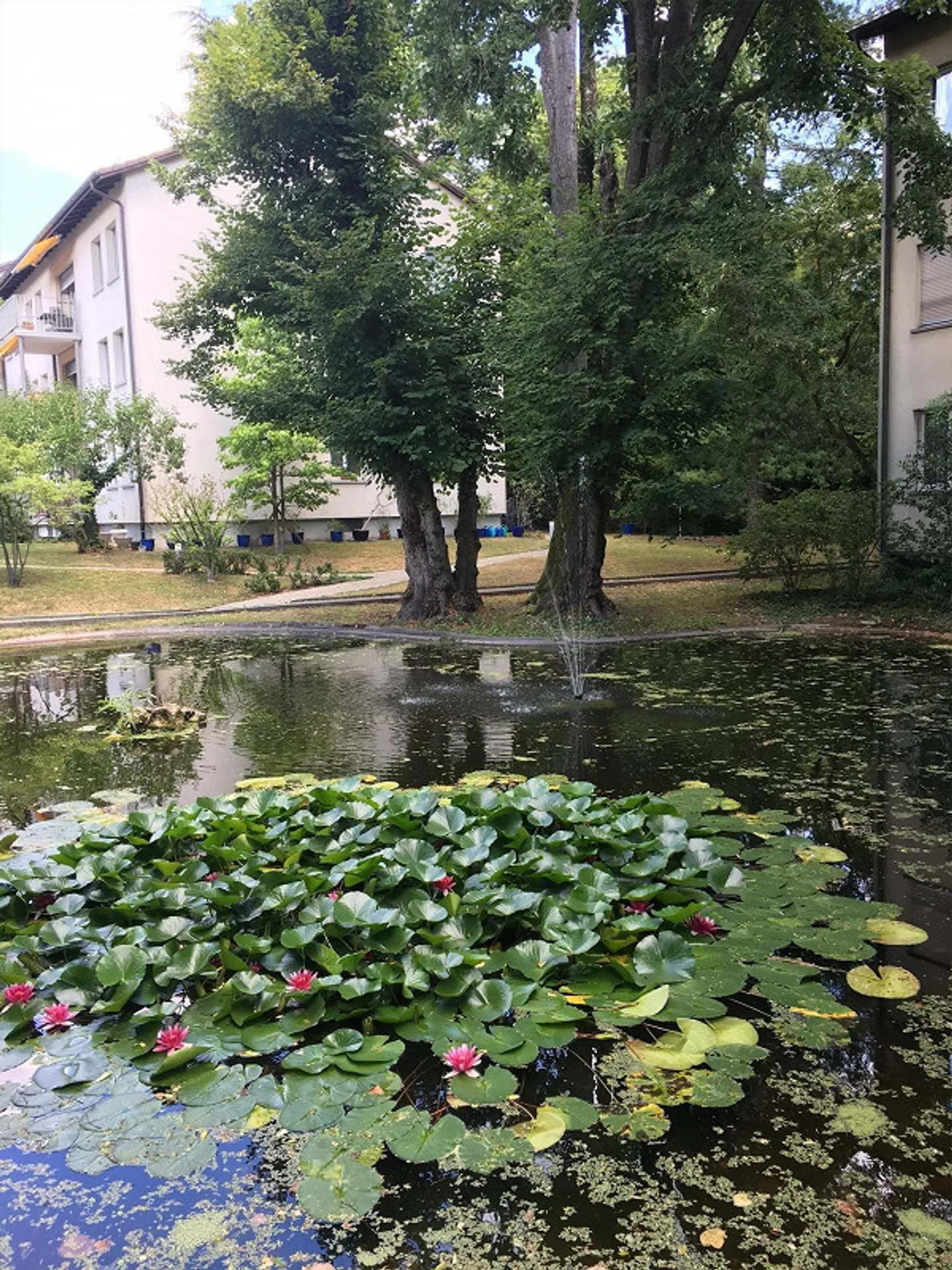 Ruhige Wohnung im Gellert - Foto 1 von 7