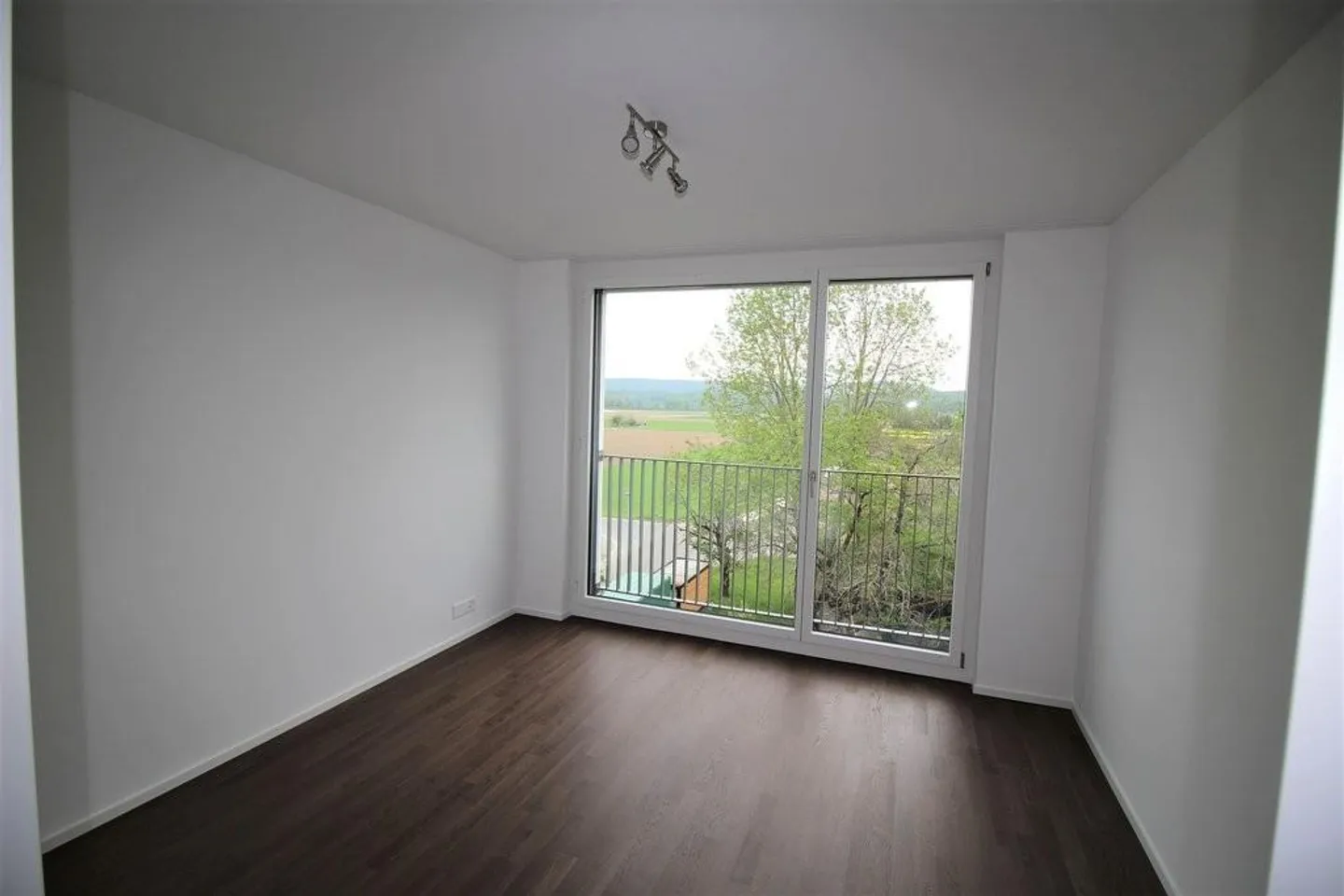 Vivre près du Rhin - Photo 4 sur 8