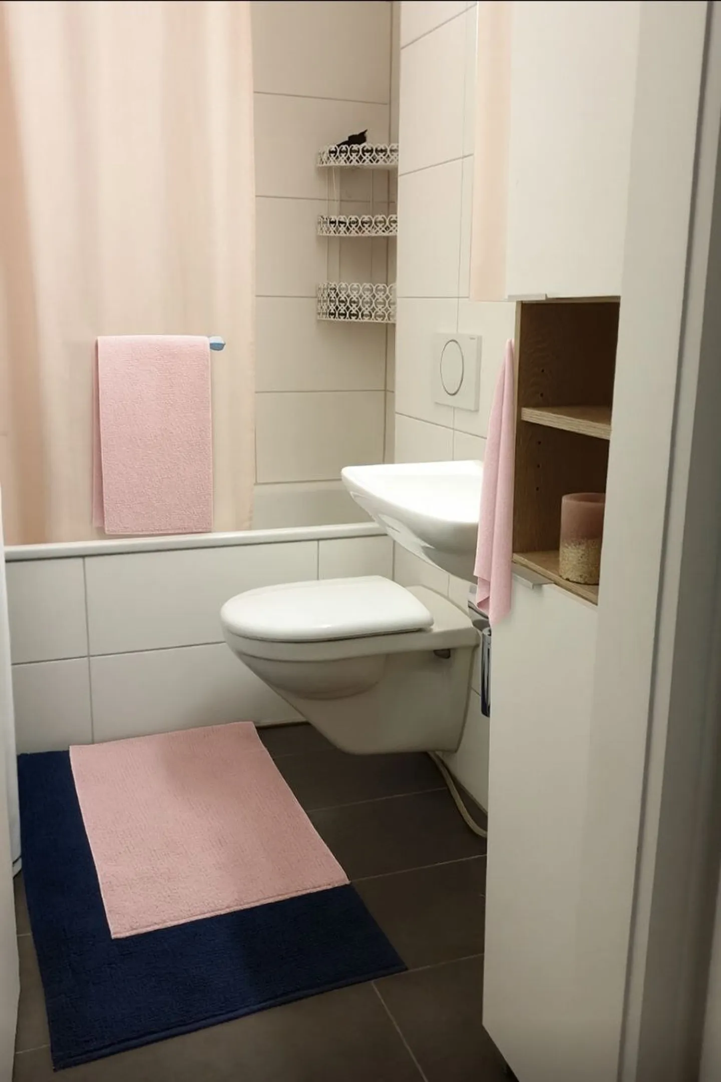 3½ ROOM APARTMENT IN BERN - BREITENRAIN, FURNISHED, TEMPORARY - Photo 7 of 8