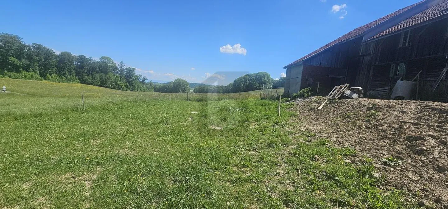 EXCEPTIONAL PRICE! TO BE DEVELOPED IN A BARN - Photo 4 of 6
