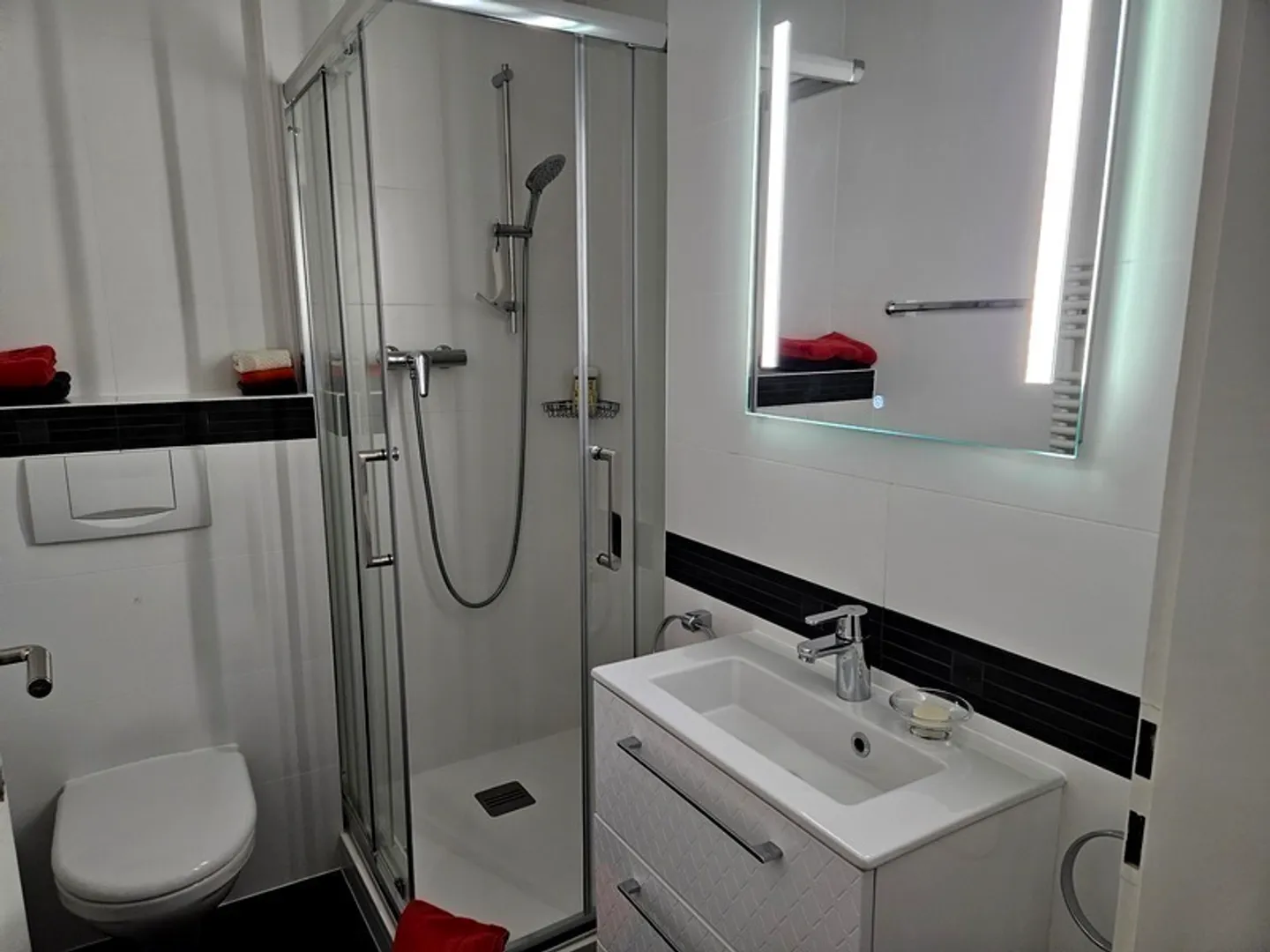 4-ROOM APARTMENT IN GENEVA - EAUX-VIVES, FURNISHED - Photo 5 of 10