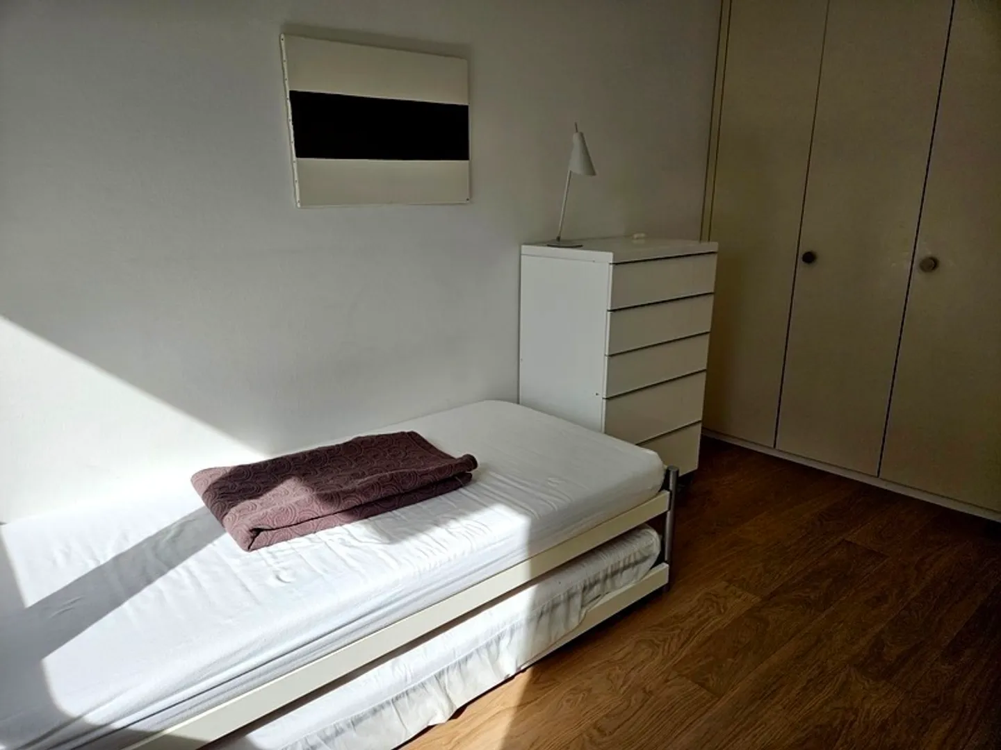 4-ROOM APARTMENT IN GENEVA - EAUX-VIVES, FURNISHED - Photo 7 of 10