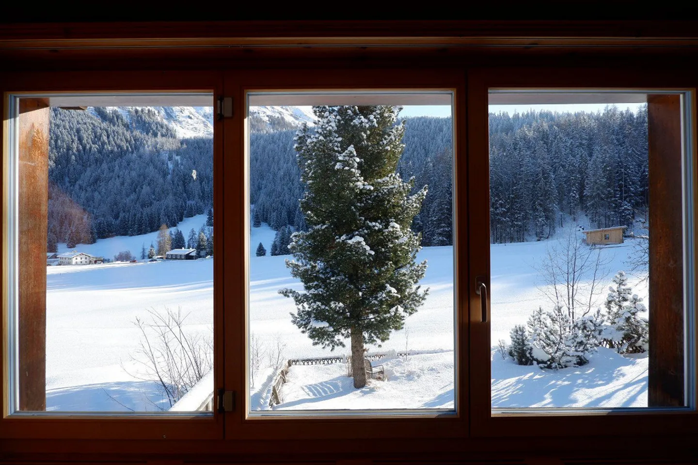 Appartamento per vacanze 3,5 stanze in una vecchia casa grigionese - Foto 10 di 12