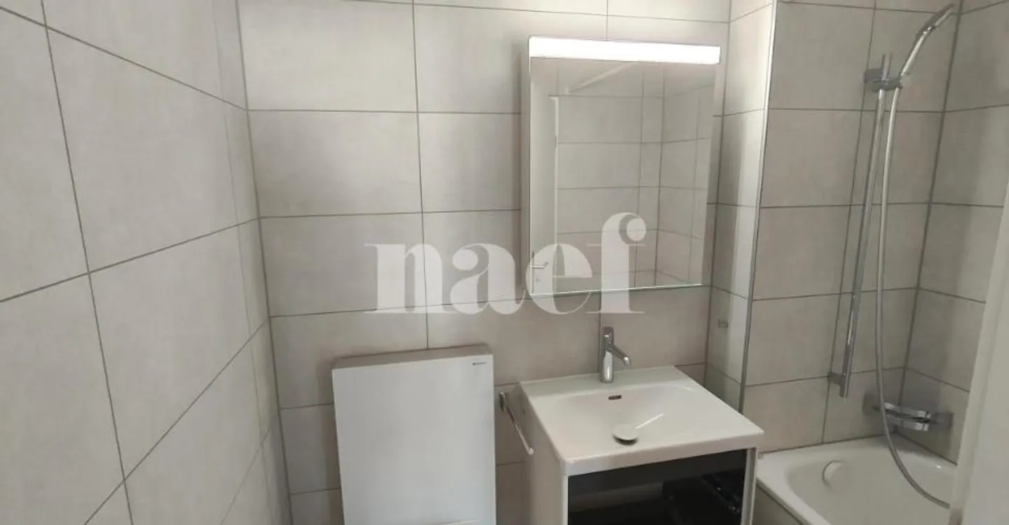 Appartement spacieux 4.5 pièces - Photo 9 sur 9