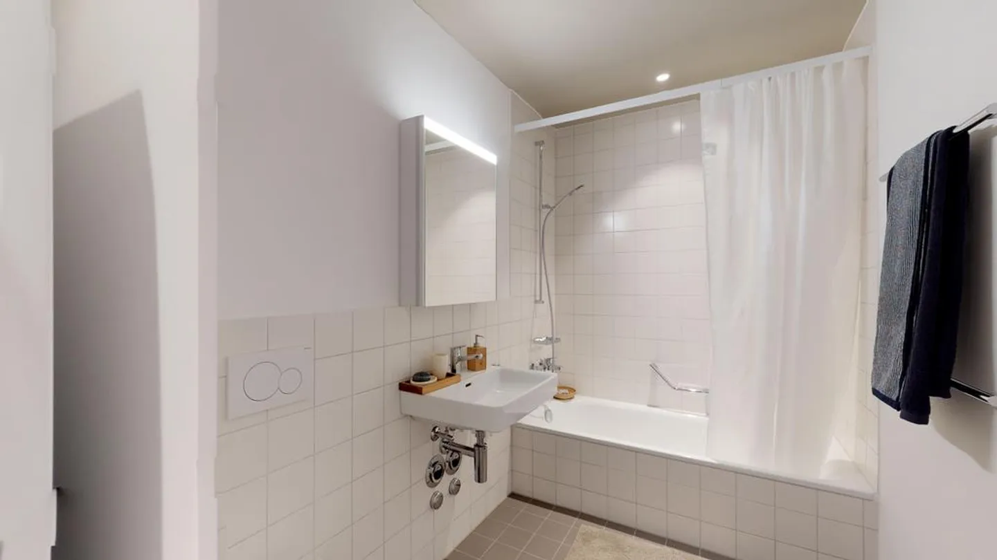 Appartamento moderno nel trendy Aeschbachquartier! - Foto 6 di 7