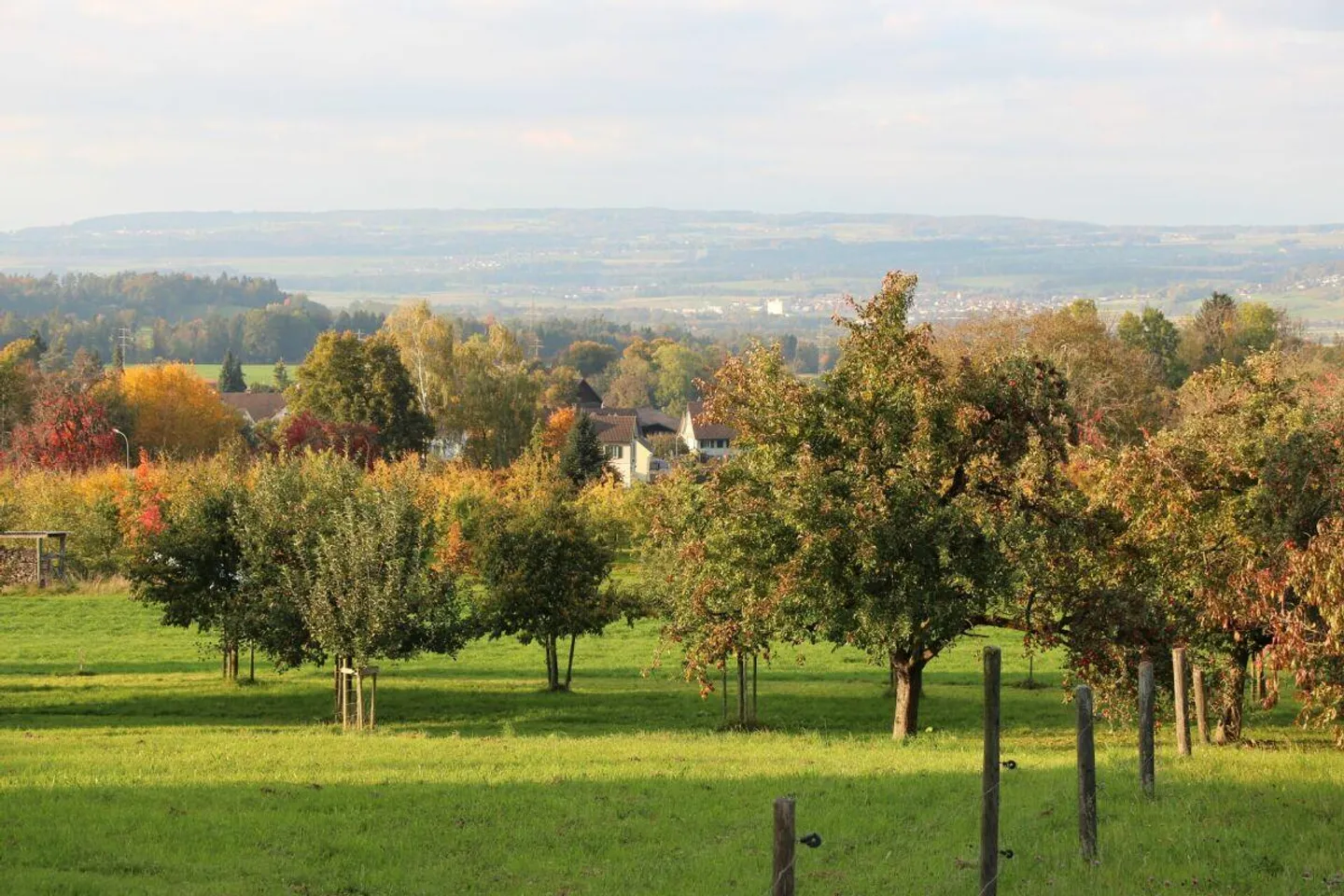 Terreno edificabile con vista mozzafiato sulla paesaggio collinare del Thurgovia - Foto 2 di 11