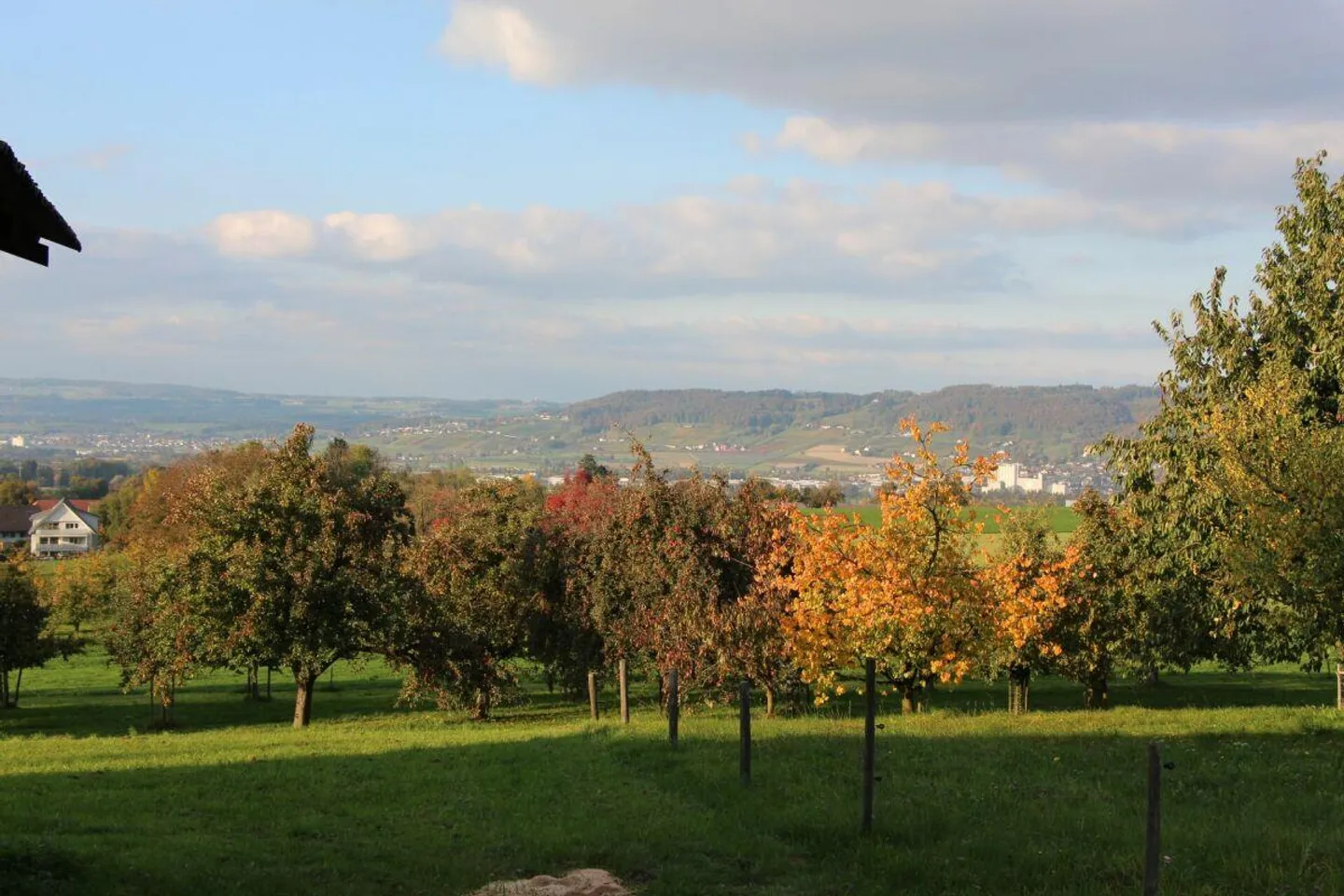 Terreno edificabile con vista mozzafiato sulla paesaggio collinare del Thurgovia - Foto 7 di 11