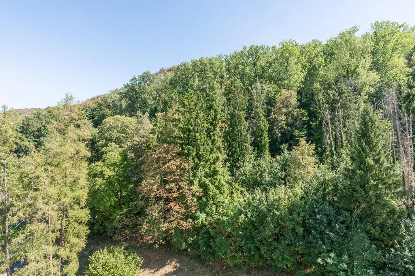 Quiet living with a view into the distance and greenery - Photo 10 of 11
