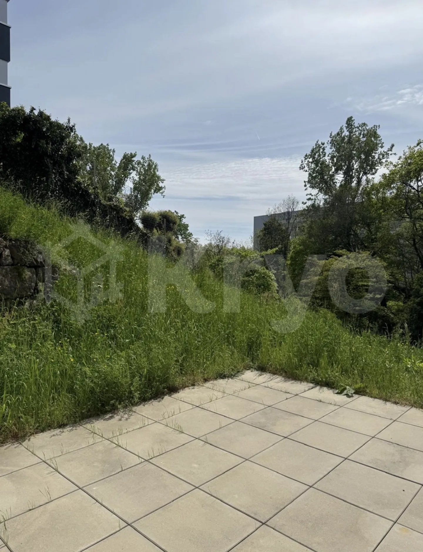 Studio affascinante in affitto - Foto 2 di 5