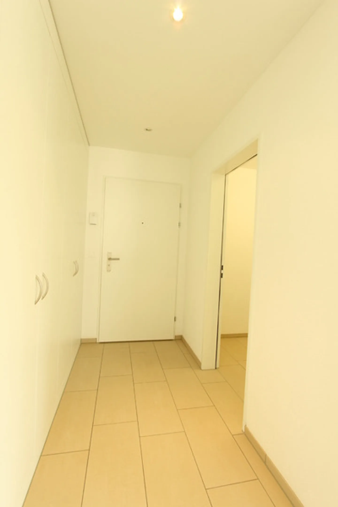 BEL APPARTAMENTO NUOVO A KLEINDÖTTINGEN - Foto 6 di 10