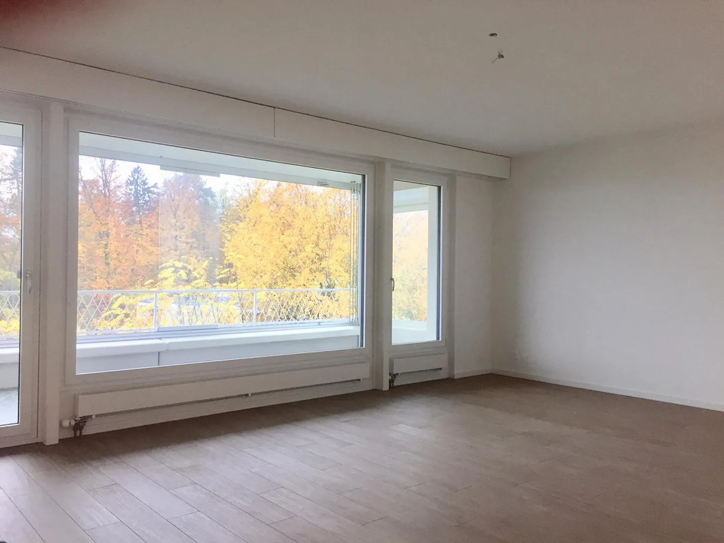 Appartamento 4.5 stanze con vista sulle montagne e sul lago - Foto 3 di 12