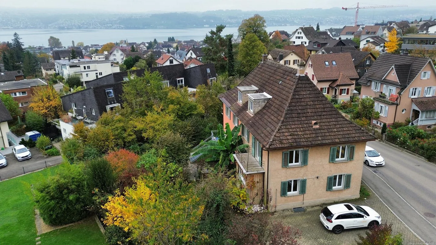Vivere con vista sulle montagne e sul lago di Zurigo - Foto 3 di 12