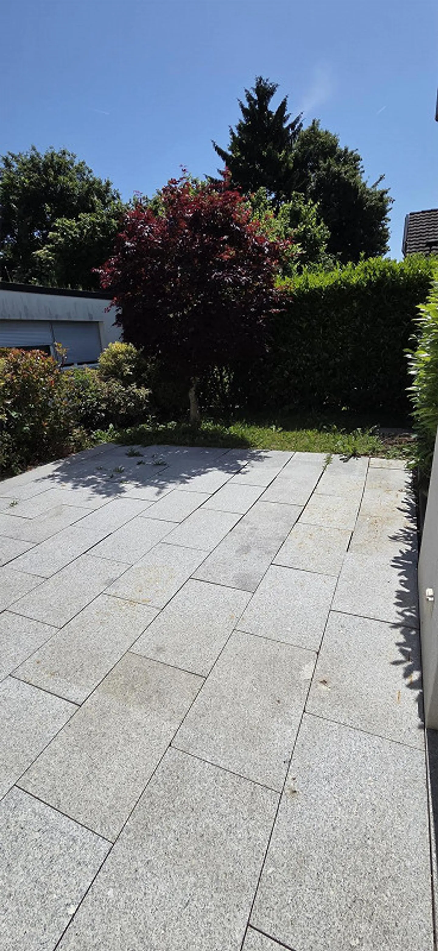3.5 Z'Mais. Garden apartment - Photo 9 of 10