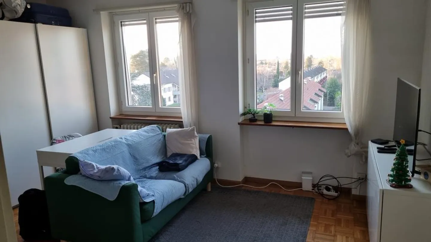1-room apartment with fantastic view - Photo 7 of 9