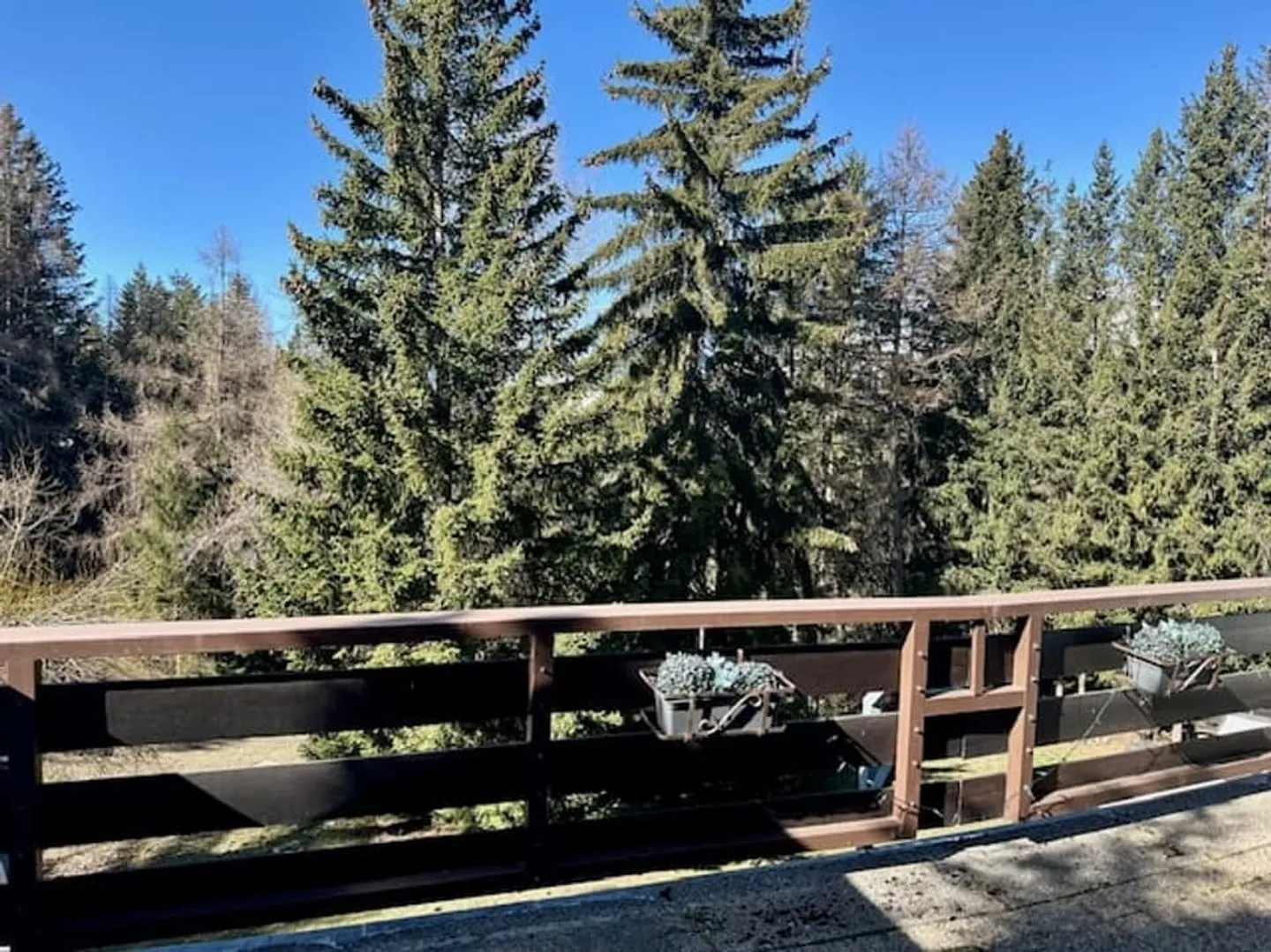 Continental C - Foto 12 di 13