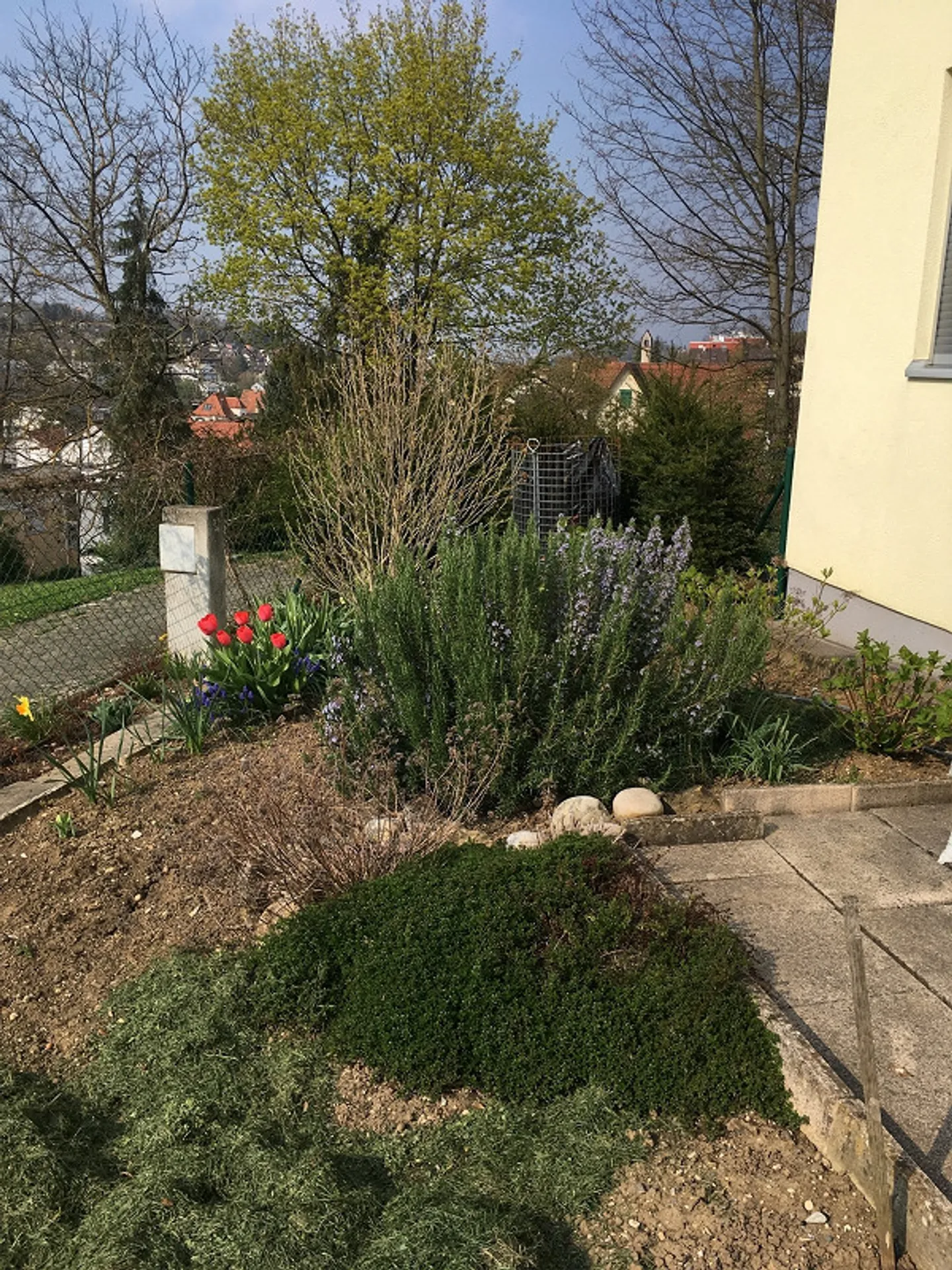 Living in a prime location in Oberwil - Photo 3 of 8