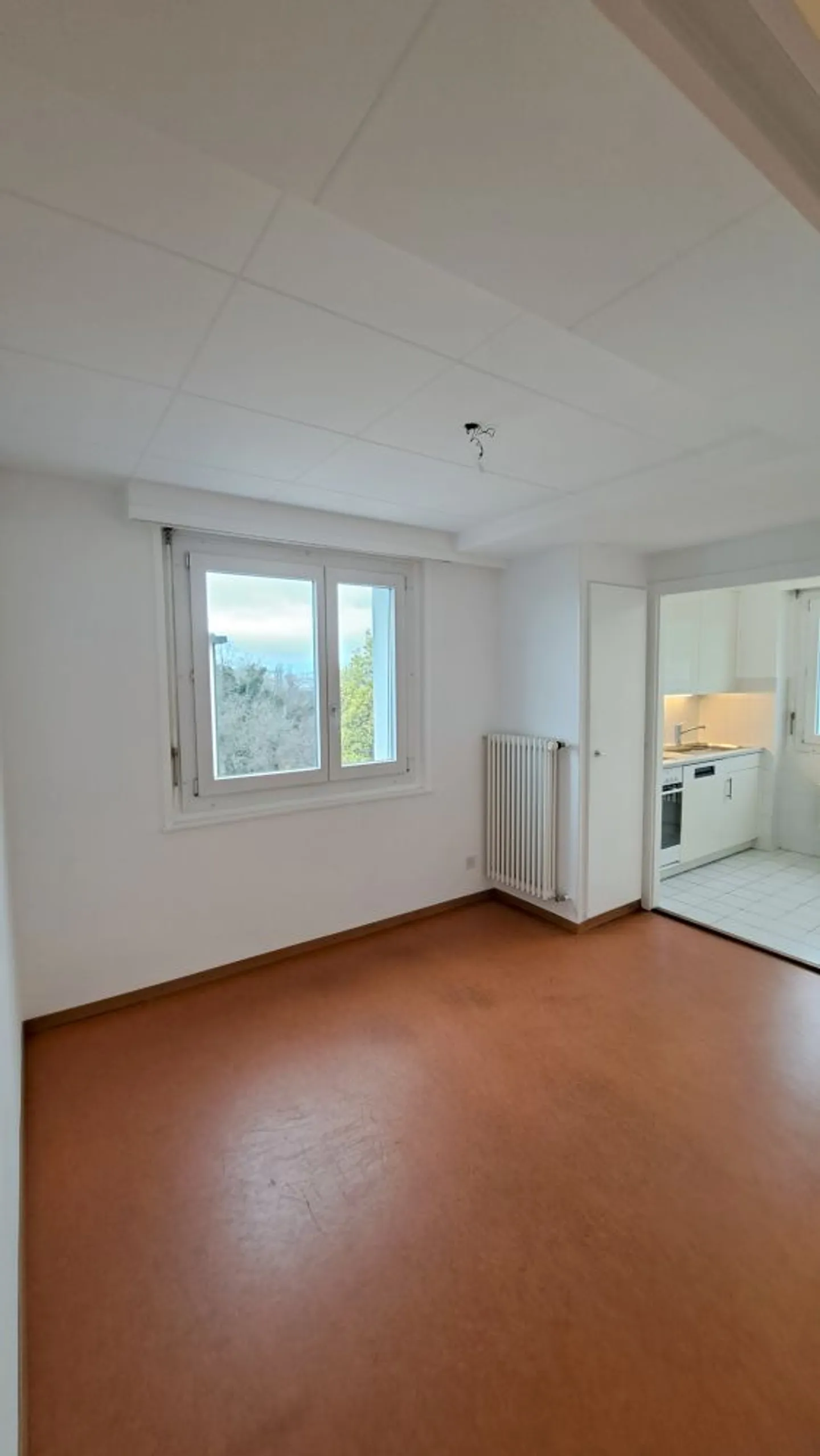 3,5-Zimmer-Wohnung - Foto 4 von 9
