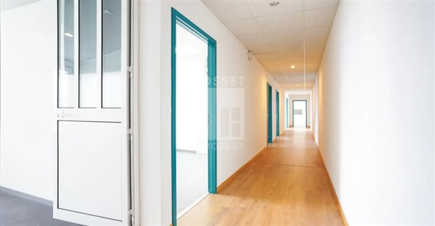 Industria - Foto 5 di 9