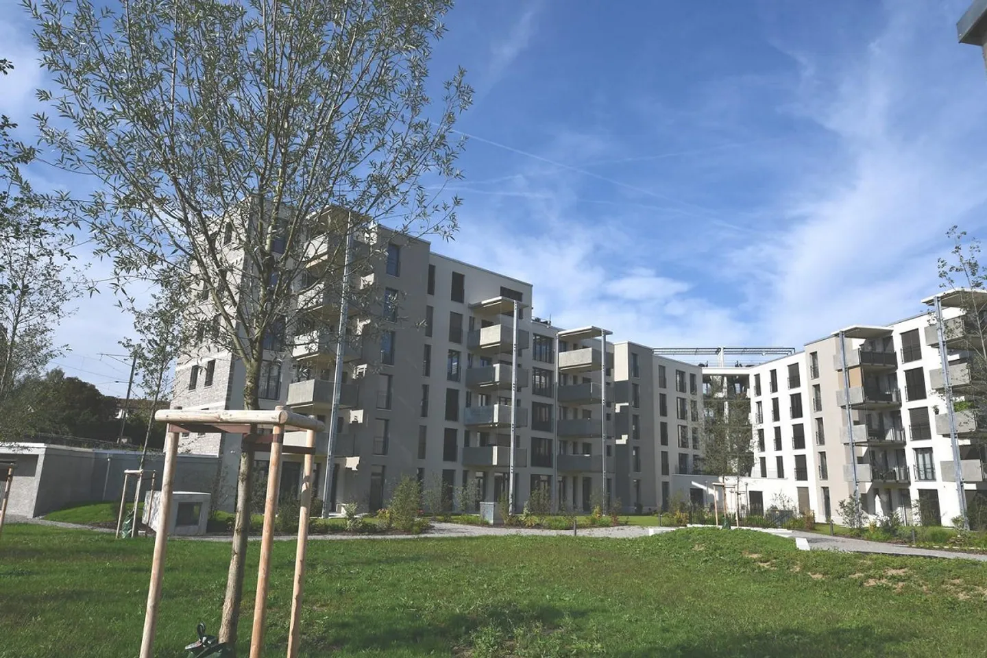 Nuovo appartamento di 3,5 stanze in affitto - Foto 1 di 11