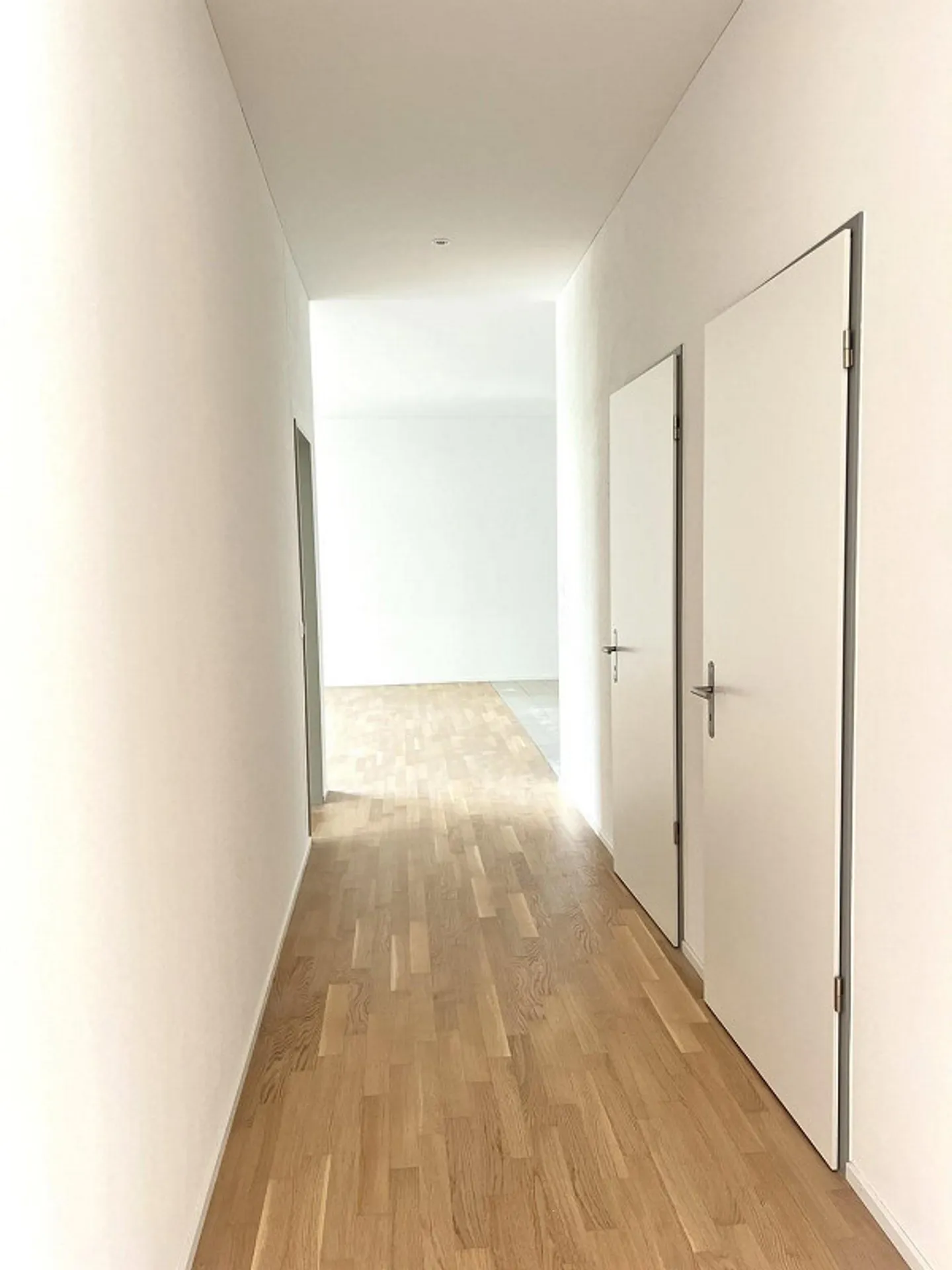 Nuovo appartamento di 3,5 stanze in affitto - Foto 3 di 11