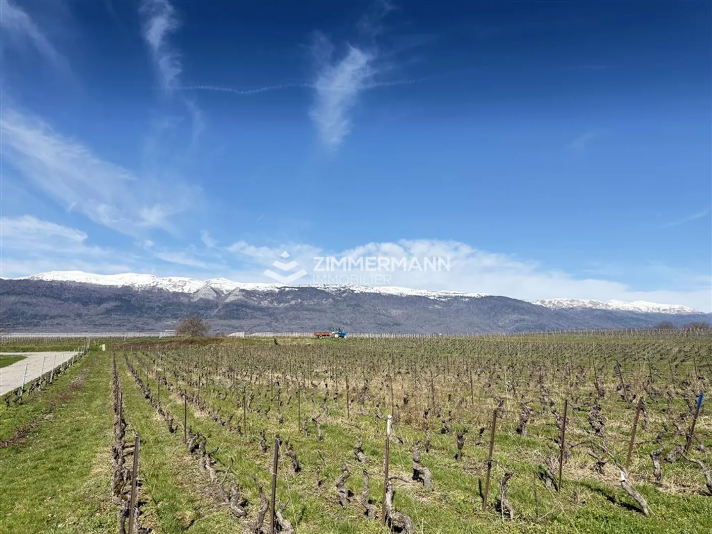 House in the Village, 5.5, 147 - Photo 11 of 12