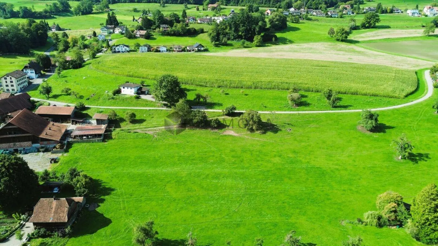 2'818m² Terreno residenziale - La tua opportunità a Pfeffikon LU - Foto 3 di 5