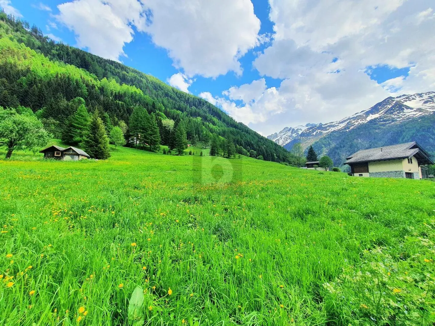 TERRENI EDIFICABILI, AGRICOLI E FORESTALI - Foto 1 di 4