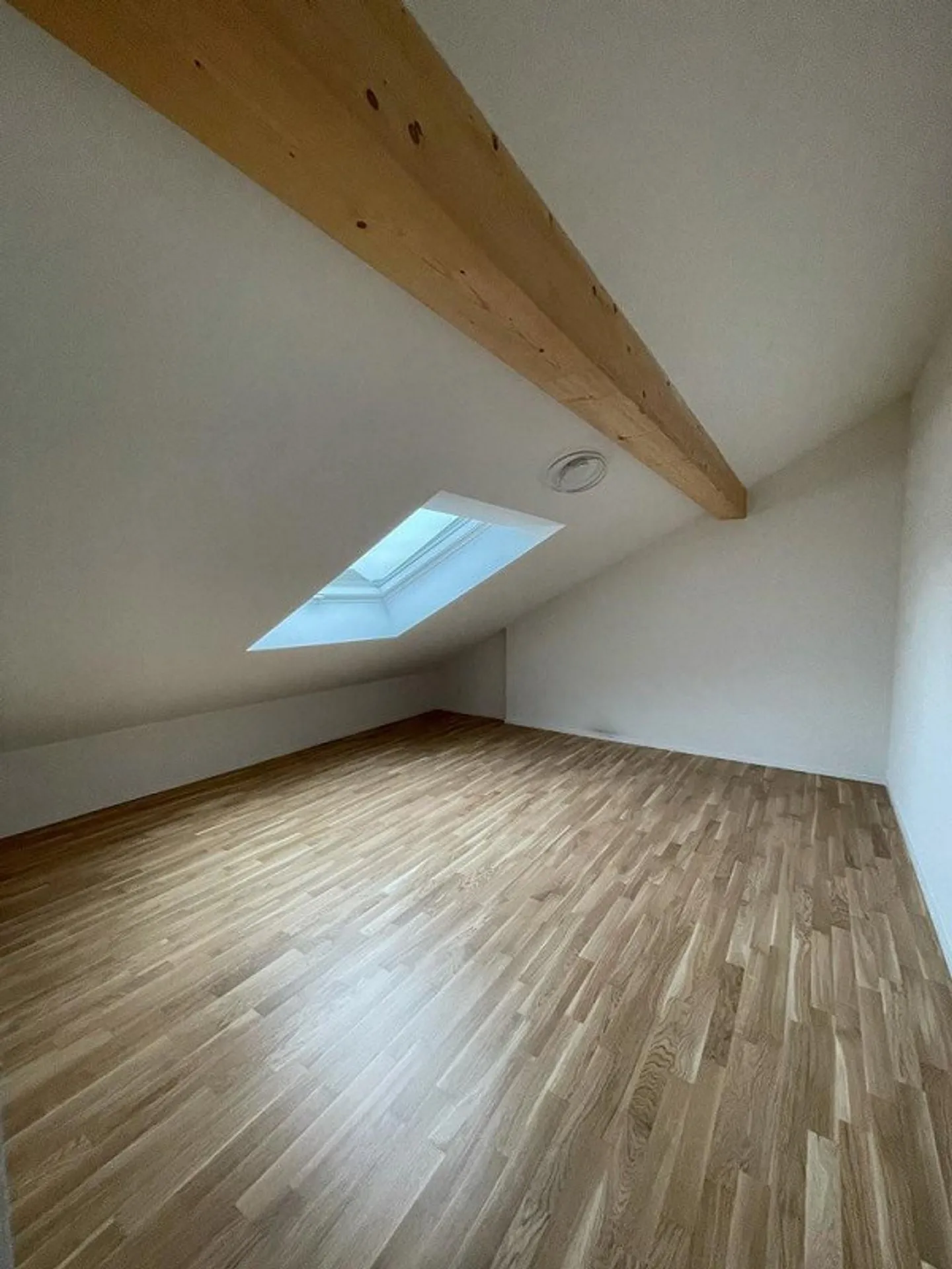 Appartement sous les toits accueillant cherche célibataire ! - Photo 3 sur 6