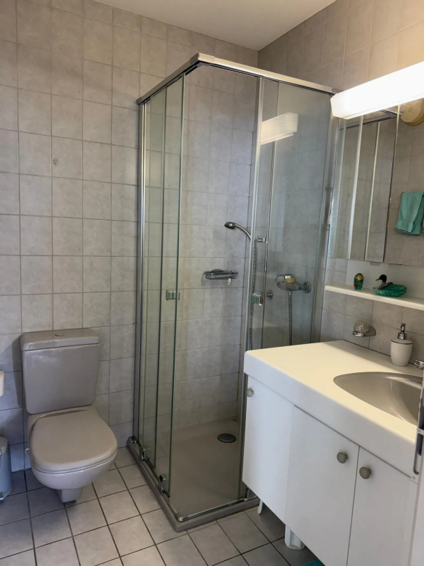 2.5-room penthouse apartment with panoramic view in Brissago for sale - Photo 11 of 13