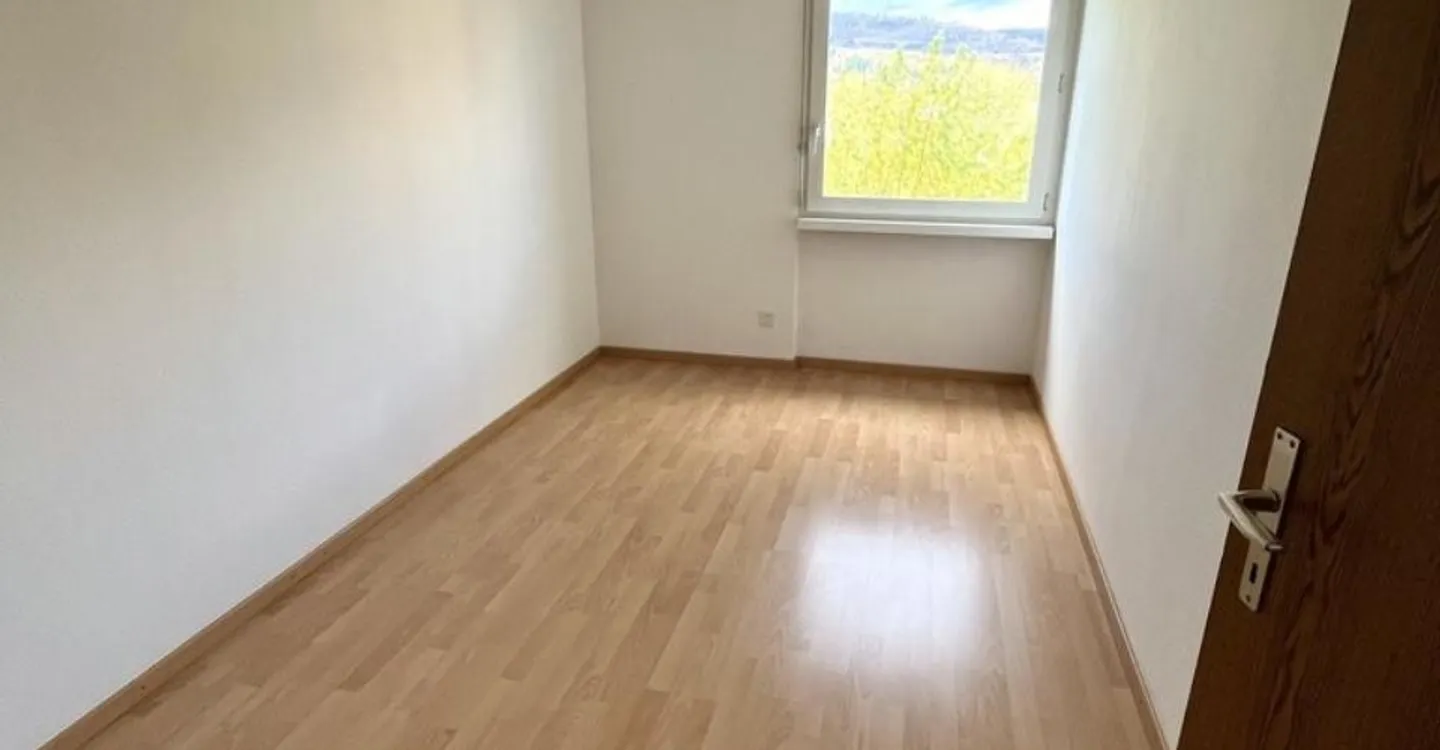 3.5 Room Apartment in a Quiet Location with TOP View for Rent - Photo 5 of 5